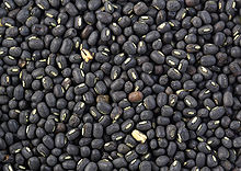 Agro Products Export