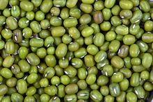 Agriculture Exports India