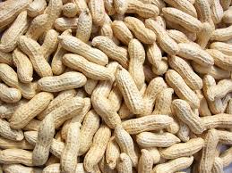 Vishaka Trading Quality Agro Products